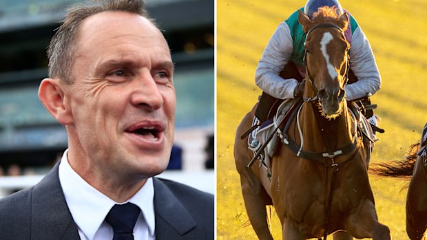 Trainer Chris Waller and his Melbourne Cup hopeful Finche