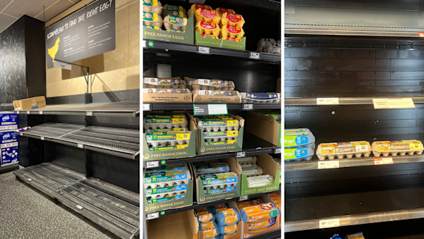 Egg shortage
