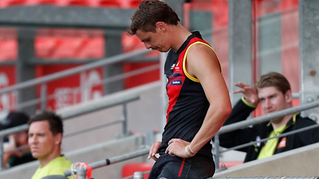 Joe Daniher