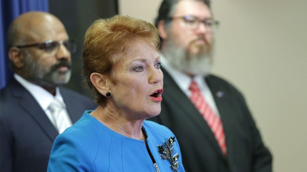 George Christensen, former LNP member and now a One Nation member in Pauline Hanson's party, will stand on the Senate ticket.