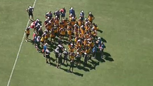 Hawthorn training