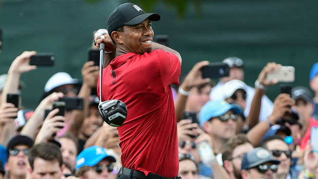 Tiger Woods
