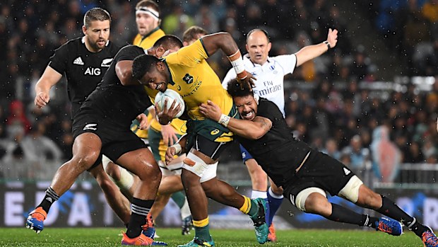 Wallabies