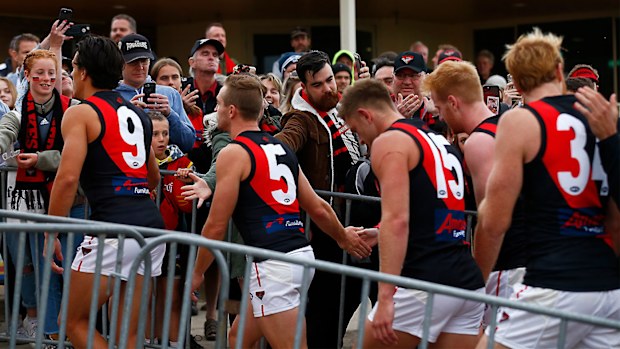 Essendon Bombers