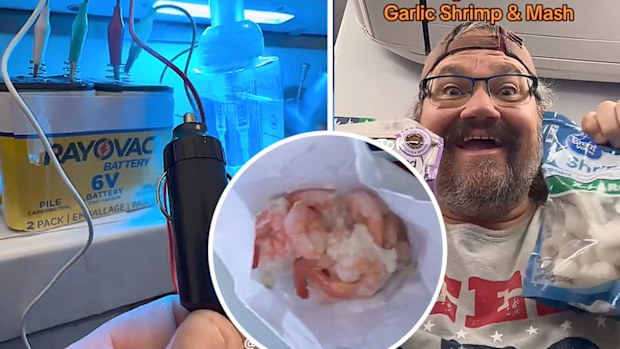 Plane passenger cooks garlic shrimp in bathroom mid-flight