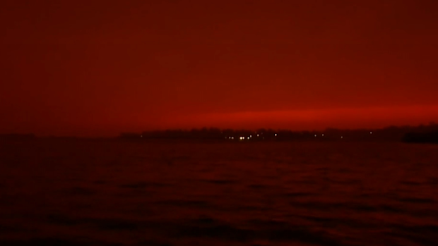 Last summer's bushfires left the Australian sky thick with smoke.