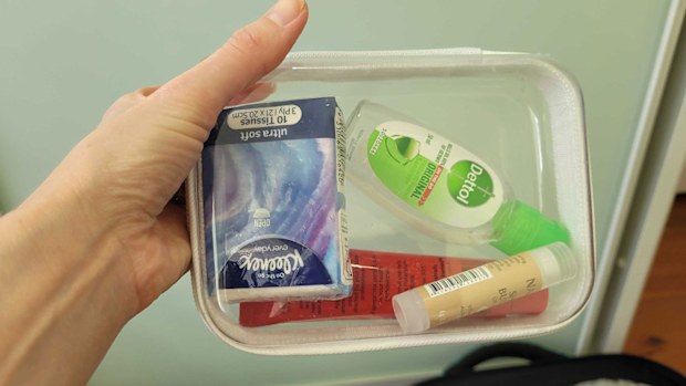 3 piece small clear packing cubes from Kmart
