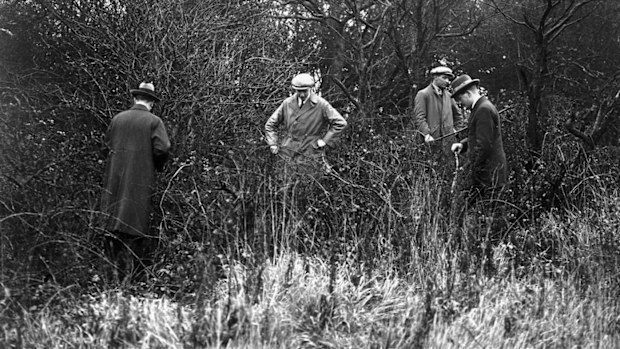 Policemen at work searching an area of woodland for clues after the disappearance of Agatha Christie.