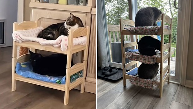 Cat loves Ikea doll bed Duktig