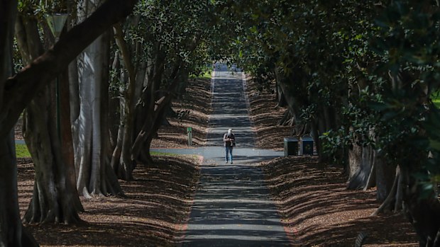 Treasury Gardens, Melbourne
