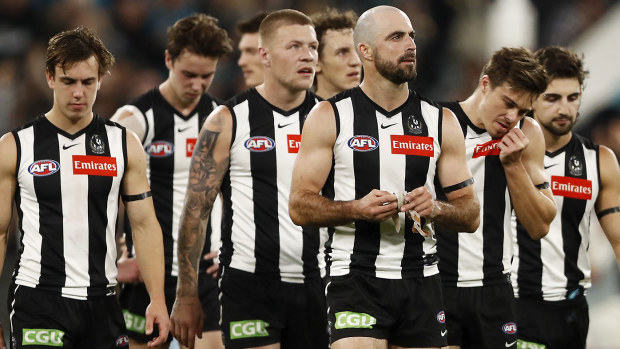 Collingwood Magpies, Steele Sidebottom