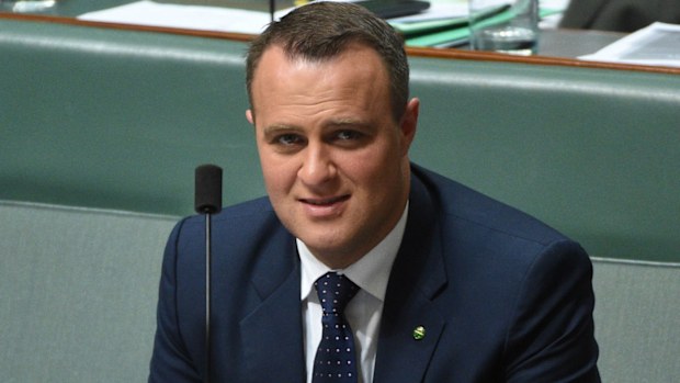 Liberal backbencher Tim Wilson. (AAP)
