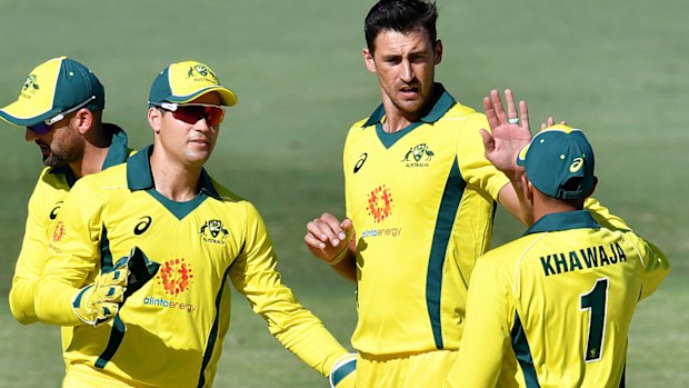 Starc starred with the ball