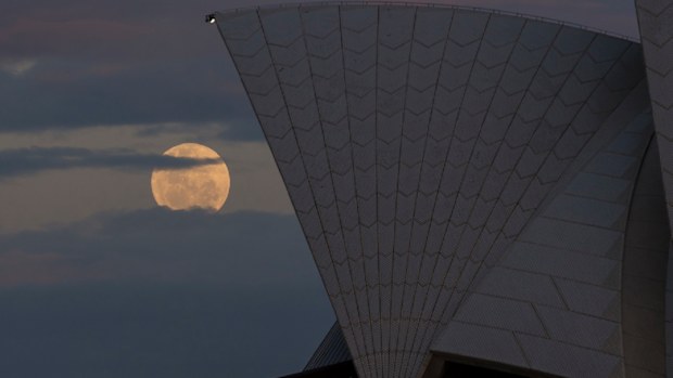 The Supermoon rises behind the Opera House on November 14, 2016 in Sydney, Australia. 