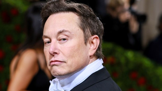 Tesla's billionaire CEO Elon Musk