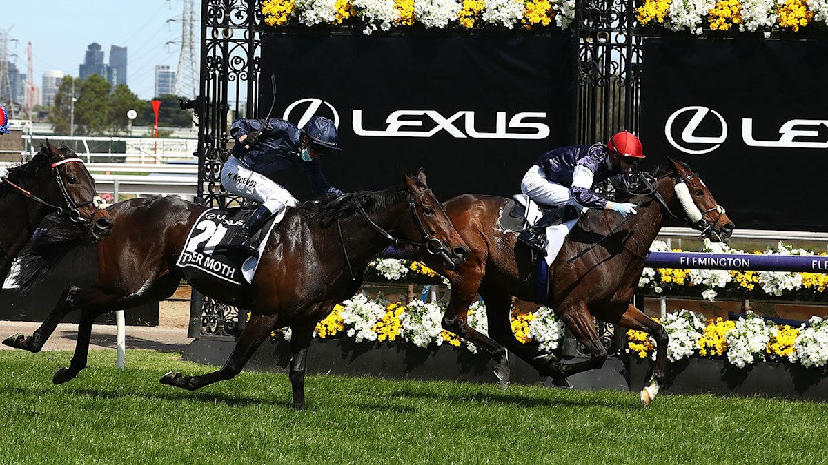 Melbourne Cup 2020 Dividends Trifecta, Exacta, Quinella and other