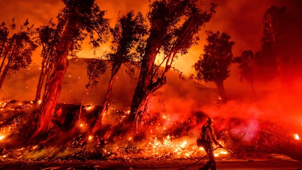 Climate change: More than 11,000 scientists declare emergency | Nine.com.au