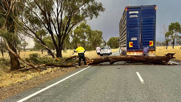 Sydney storms on January 15 have left destruction over NSW this morning. 