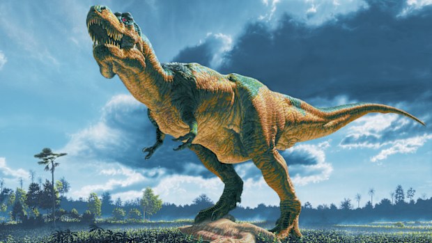 On August 12, 1990, a fossil hunter stumbled across three huge bones sticking out of a cliff near South Dakota in the US.  Susan Hendrickson didn't know it then but she had stumbled across the remains of the largest-ever Tyrannosaurus rex skeleton ever discovered.
