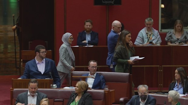 Labor Senator Fatima Payman could face expulsion after crossing the floor to vote against her own party to recognise Palestine as a state. 