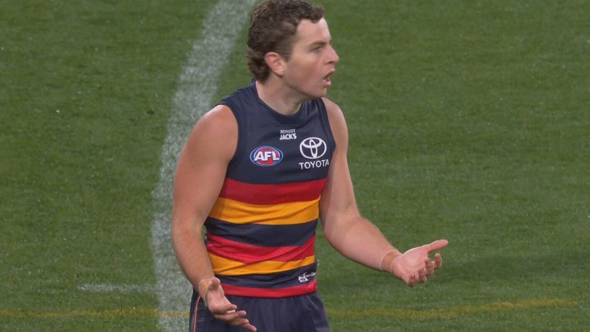 AFL-nieuws 2026, resultaten Adelaide Crows v Geelong Cats, Tom Atkins v Zac Taylor out-of-bounds call-video, reactie van David King