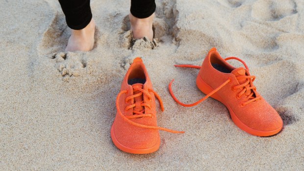 Eco shoemaker Allbirds was born after
