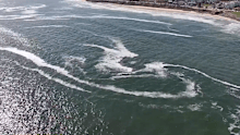 An international expert consulted by the state government suggests South Australia's algal bloom is not as dire as it may appear.