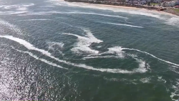 The algal bloom in South Australia.