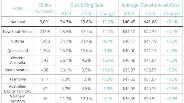 Cleanbill 2024 Blue Report bulk billing data.