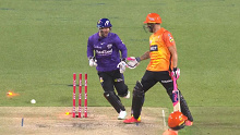Faf du Plessis gestures at Matthew Wade after the Hurricanes keeper yelled out as the ball was in mid-air, before it bowled the former Proteas skipper.
