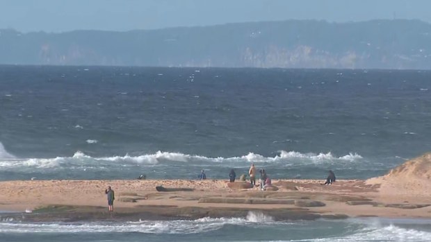 Body found in search for teen missing off NSW coast | Nine.com.au
