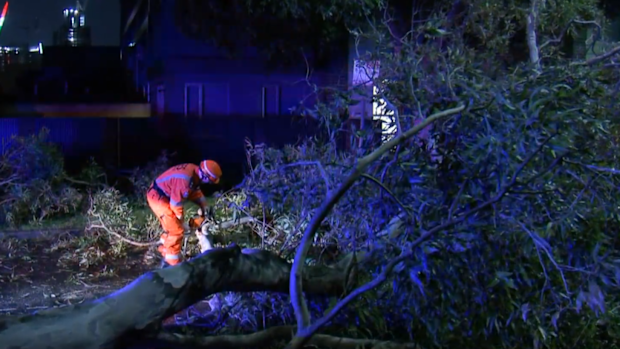 SES crews working on a fallen tree.