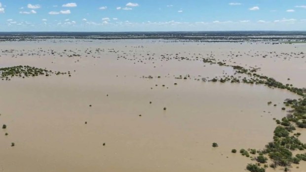 Heavy rainfall in Far North Queensland has sparked rescues for motorists stranded in floodwaters.Rescuers become life savers for the 65-year-old woman stuck on top of her car at Mossman, north-west of Cairns, about 6am today.