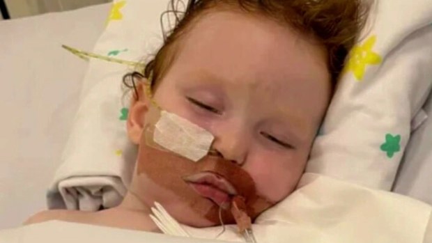 A Queensland baker has sent a warning to parents after her toddler ingested cake decorating dust and ended up in an induced coma. Professional baker Katie Robinson was making a Bluey cake for a first birthday last Friday when her son Dusty Wildman found a canister of cake decorating gold.
"Dusty was just pottering around like he normally does," she said.