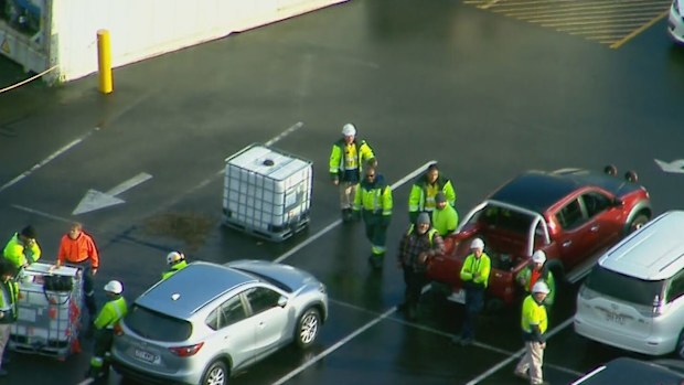 Queensland abattoir shuts after massive chemical leak