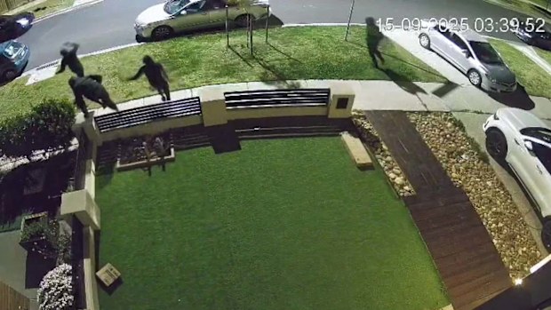 An eight-year-old Labrador is being hailed a hero, after he scared off a group of would-be home invaders from his family's home. 