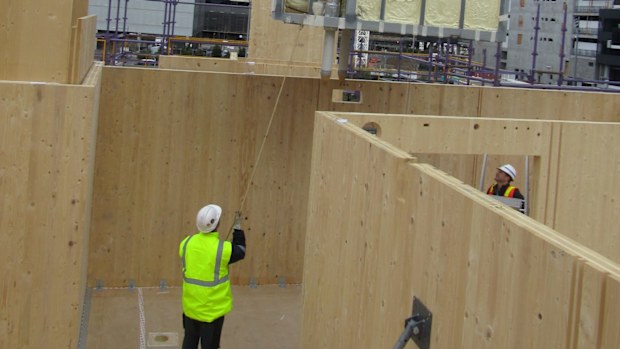 XLam opens Aust's first factory for CLT