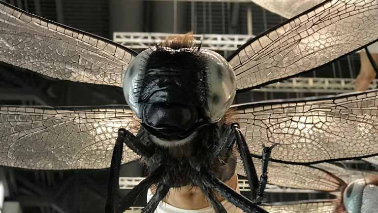 Li Shan's <i>Deviation</i> (detail).