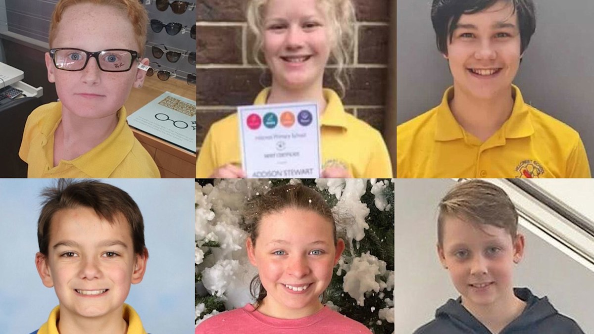 Hillcrest tragedy: Operator 'hung out to dry' by jumping castle maker ...