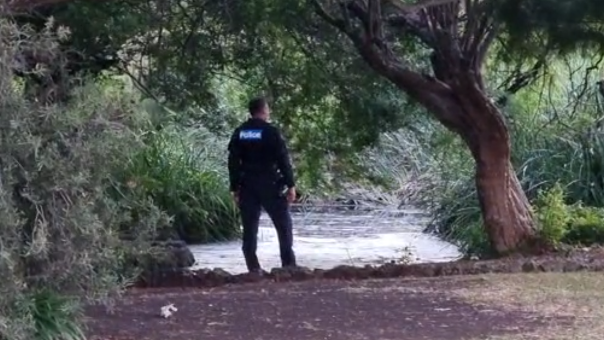 Toddler critical after being found unresponsive in Melbourne park pond ...