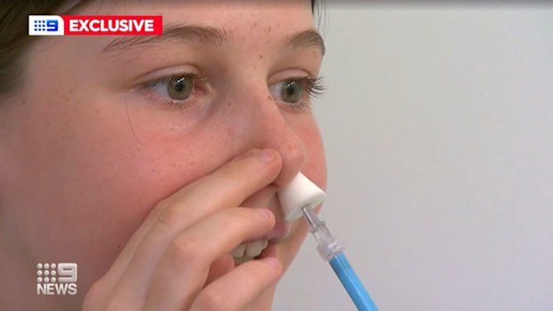 Whooping cough: Nasal spray to protect babies against highly contagious ...