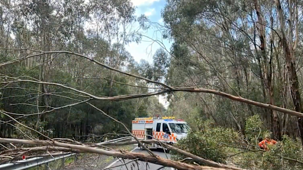 SES Victoria has received more than 430 calls for assistance since midday yesterday.
