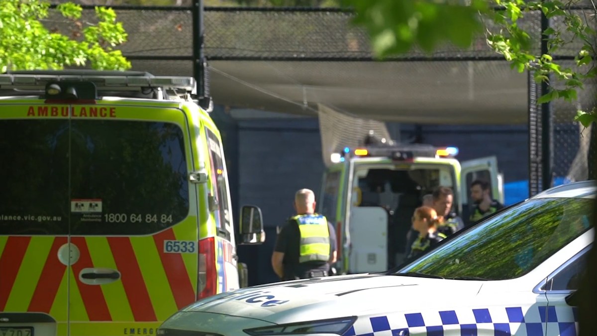 www.9news.com.au