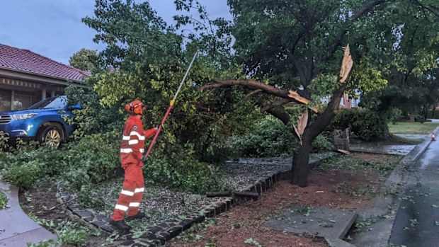 Wild weather in Canberra