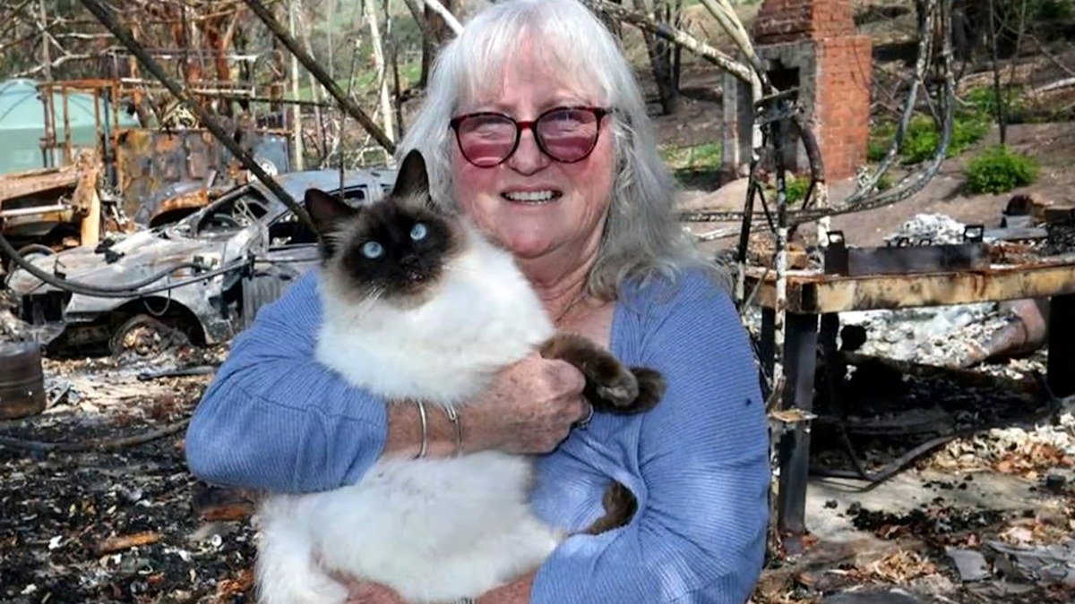 Bushfire victim reunited with cat after two months | Nine.com.au