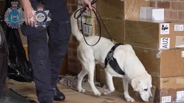 WA illicit tobacco seizure: Brothers Hossain and Mousa Al Monsouri front  court
