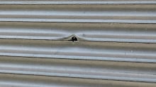 A volley of bullets were fired into the home.