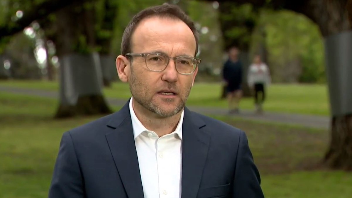 Voice to parliament referendum: Greens leader ﻿Adam Bandt calls for ...