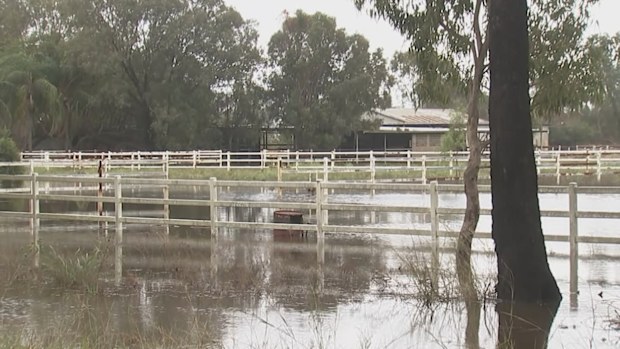 Record-breaking rain and wild weather battering the east coast has caused wastewater to release into Brisbane River, triggering an urgent health warning.