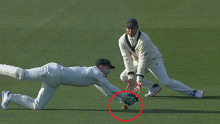 Alex Carey drops a catch behind the stumps against New Zealand.